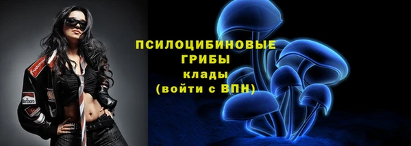 круглые Няндома