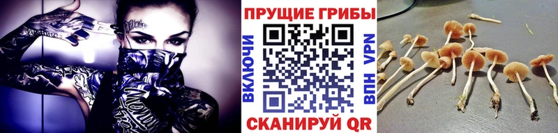 Галлюциногенные грибы GOLDEN TEACHER  Купить закладки  Сосногорск 